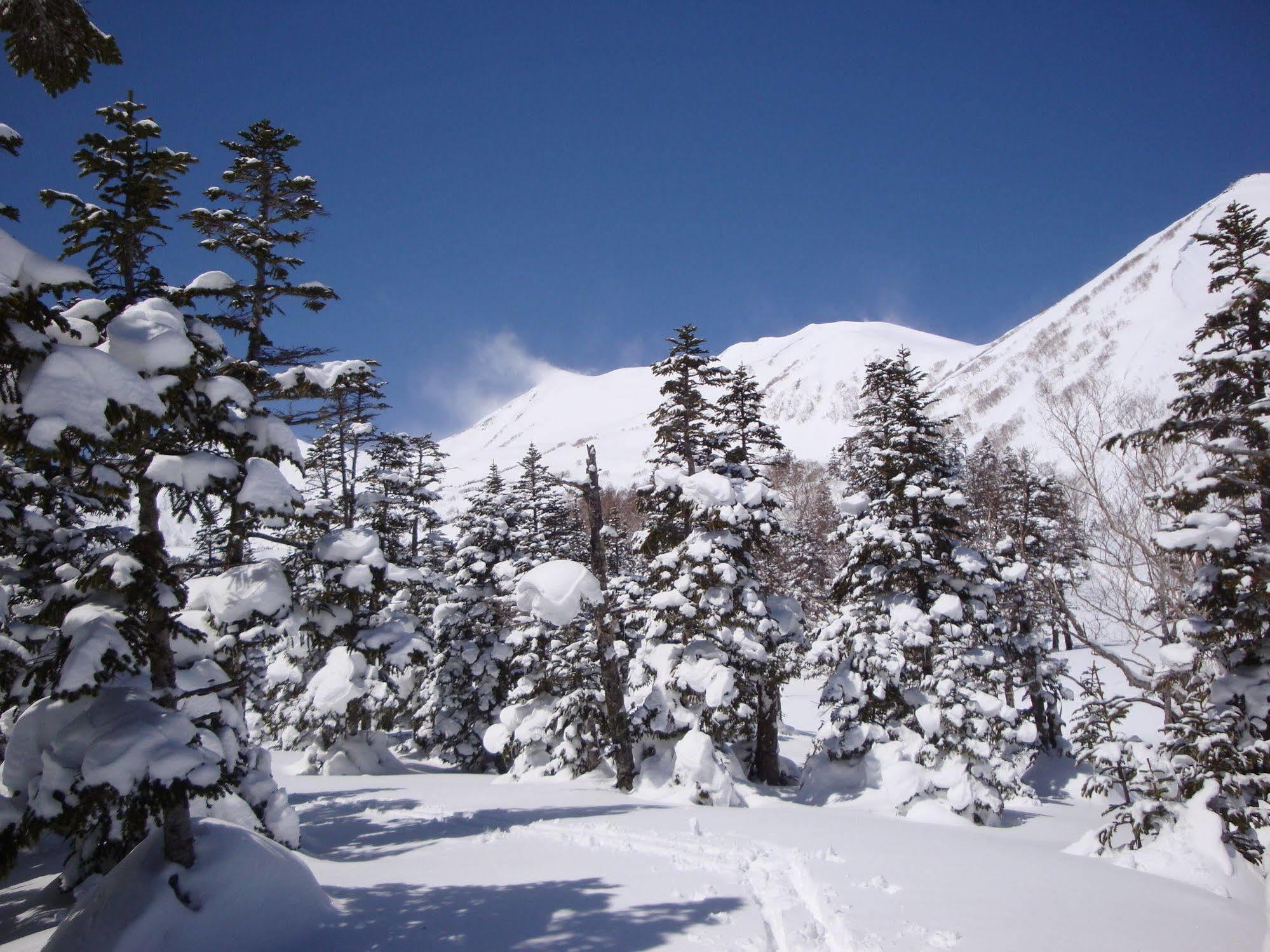 Hotel La Montagne Furuhata Hakuba Kültér fotó